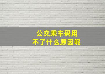 公交乘车码用不了什么原因呢