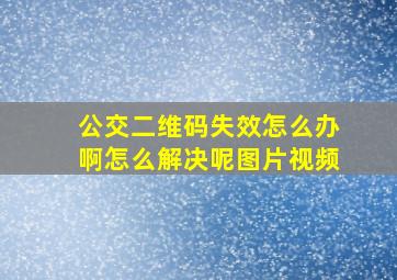 公交二维码失效怎么办啊怎么解决呢图片视频