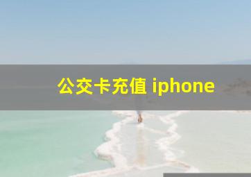 公交卡充值 iphone