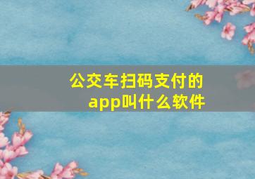 公交车扫码支付的app叫什么软件