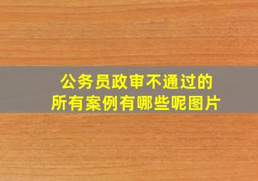 公务员政审不通过的所有案例有哪些呢图片