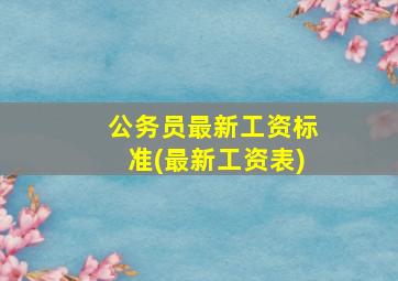 公务员最新工资标准(最新工资表)