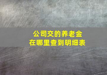 公司交的养老金在哪里查到明细表