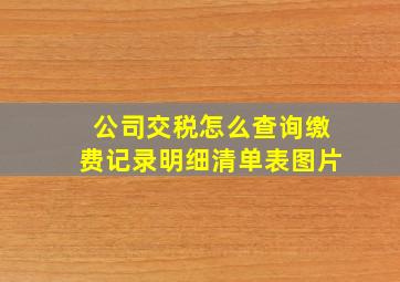 公司交税怎么查询缴费记录明细清单表图片