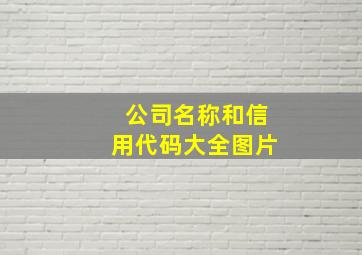 公司名称和信用代码大全图片