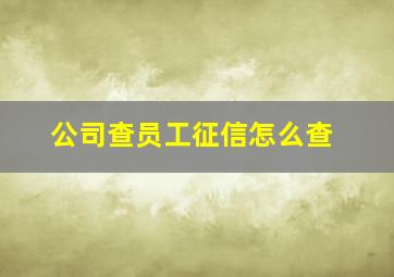 公司查员工征信怎么查