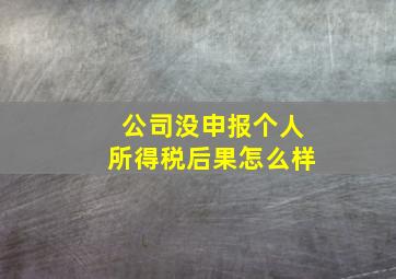 公司没申报个人所得税后果怎么样