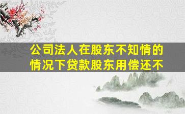 公司法人在股东不知情的情况下贷款股东用偿还不