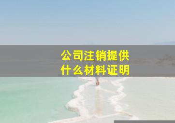 公司注销提供什么材料证明