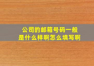 公司的邮箱号码一般是什么样啊怎么填写啊