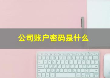 公司账户密码是什么