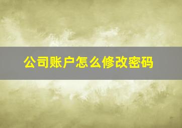 公司账户怎么修改密码