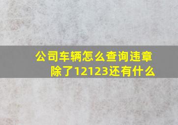 公司车辆怎么查询违章除了12123还有什么