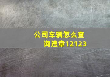 公司车辆怎么查询违章12123