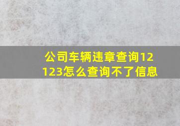 公司车辆违章查询12123怎么查询不了信息