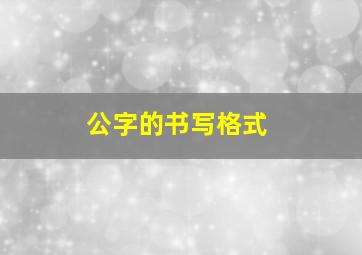 公字的书写格式