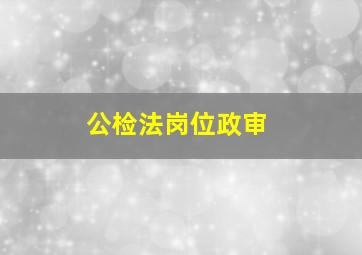 公检法岗位政审