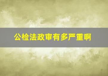 公检法政审有多严重啊