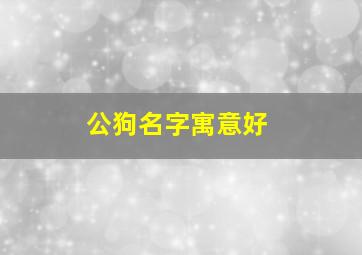 公狗名字寓意好