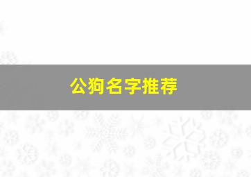 公狗名字推荐