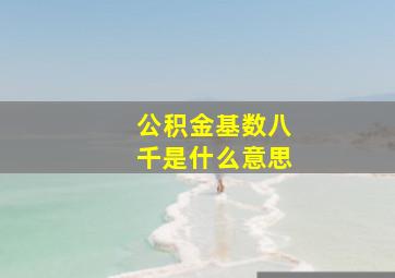 公积金基数八千是什么意思