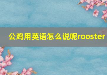 公鸡用英语怎么说呢rooster