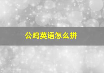 公鸡英语怎么拼