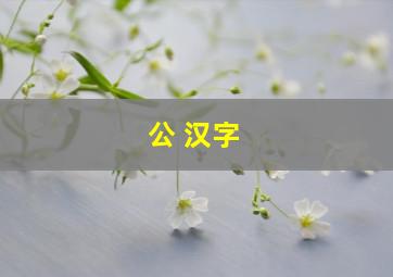 公 汉字