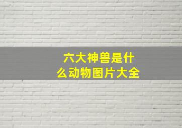 六大神兽是什么动物图片大全