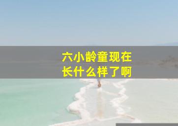 六小龄童现在长什么样了啊