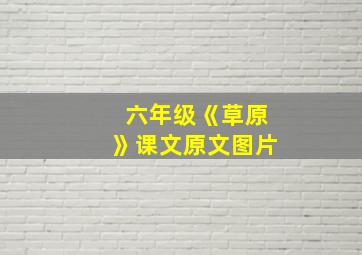 六年级《草原》课文原文图片