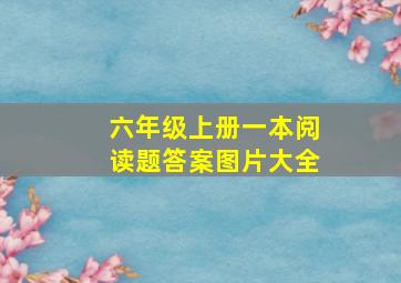 六年级上册一本阅读题答案图片大全