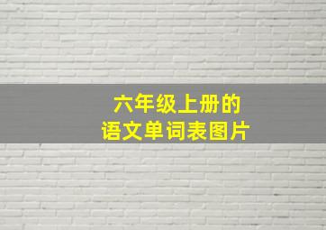 六年级上册的语文单词表图片