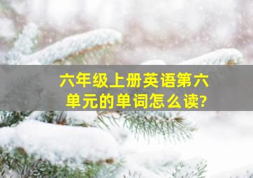 六年级上册英语第六单元的单词怎么读?