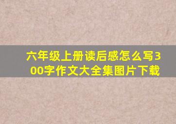 六年级上册读后感怎么写300字作文大全集图片下载