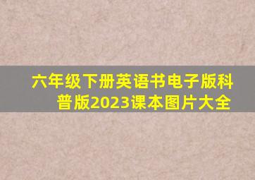 六年级下册英语书电子版科普版2023课本图片大全