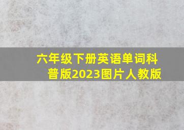 六年级下册英语单词科普版2023图片人教版