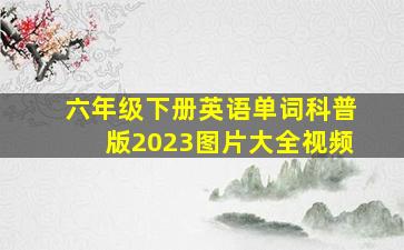 六年级下册英语单词科普版2023图片大全视频