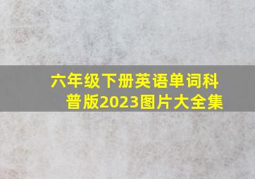 六年级下册英语单词科普版2023图片大全集