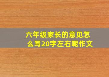 六年级家长的意见怎么写20字左右呢作文