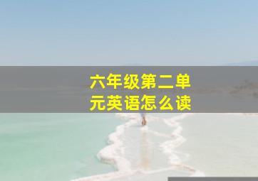 六年级第二单元英语怎么读