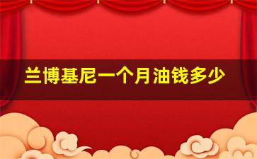 兰博基尼一个月油钱多少