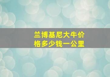 兰博基尼大牛价格多少钱一公里