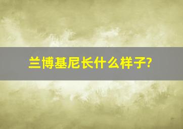 兰博基尼长什么样子?