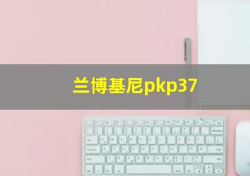 兰博基尼pkp37