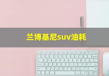 兰博基尼suv油耗