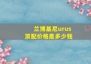 兰博基尼urus顶配价格是多少钱