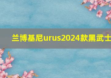 兰博基尼urus2024款黑武士