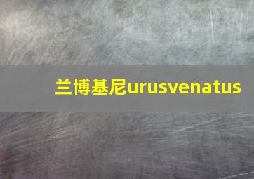 兰博基尼urusvenatus