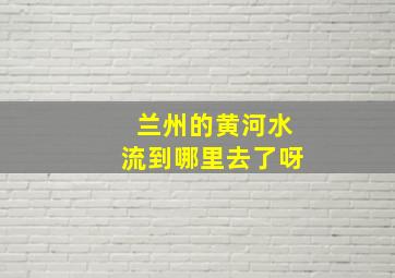 兰州的黄河水流到哪里去了呀